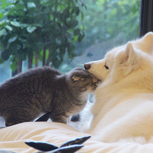 葵司无码潮喷白浆流出
